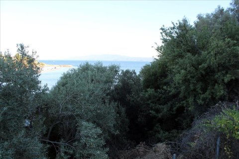 10300m² Land in Chalkidiki, Greece No. 60201 7