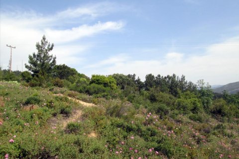 4700m² Land en Kavala, Greece No. 60353 5