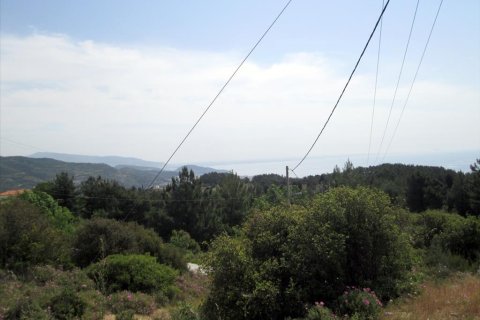 4700m² Land en Kavala, Greece No. 60353 3