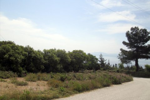 4700m² Land en Kavala, Greece No. 60353 4