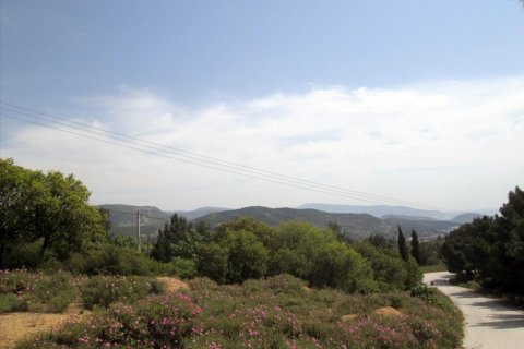 4700m² Land en Kavala, Greece No. 60353 1