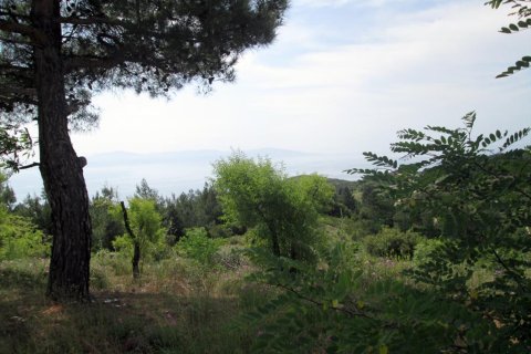 4700m² Land en Kavala, Greece No. 60353 8