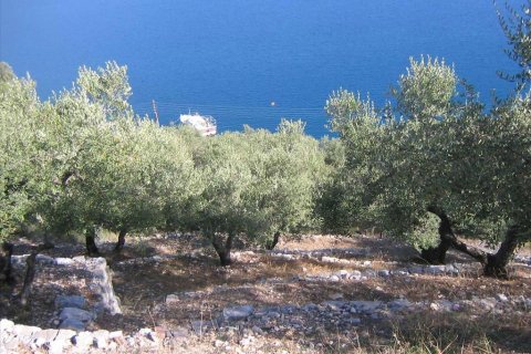 580m² Land à Ithaca, Greece No. 60273 1