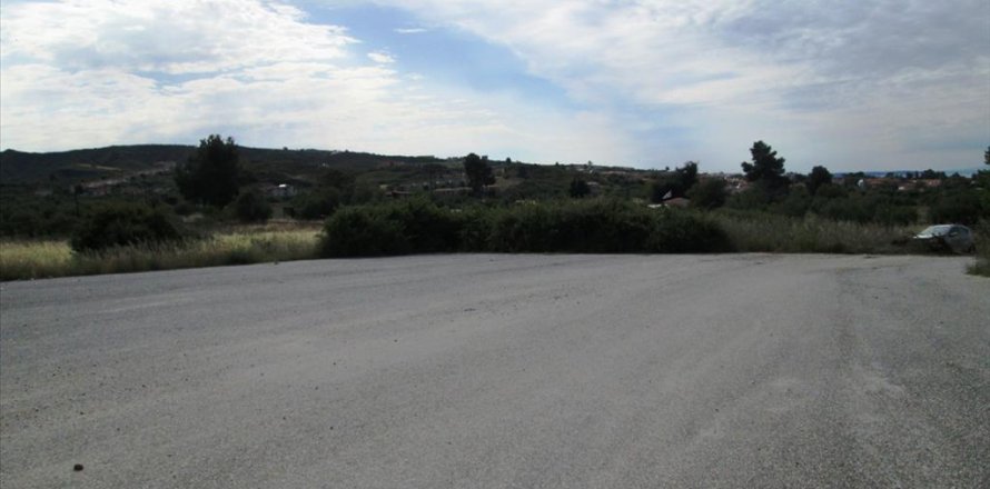 10000m² Land in Chalkidiki, Greece No. 60355