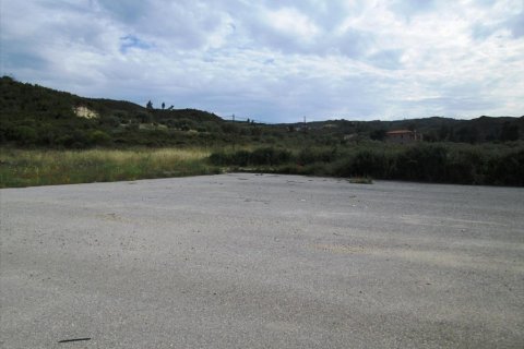 10000m² Land in Chalkidiki, Greece No. 60355 2