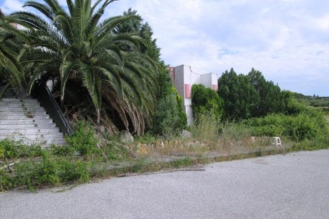 10000m² Land in Chalkidiki, Greece No. 60355 4