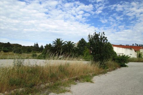 10000m² Land in Chalkidiki, Greece No. 60355 7