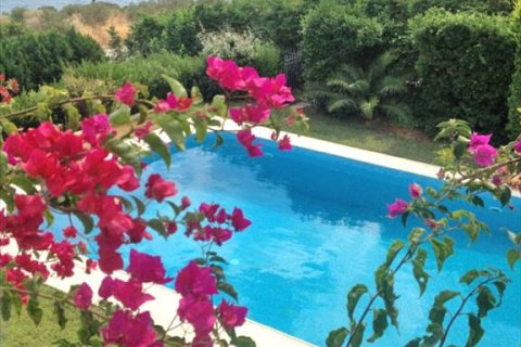 5 bedrooms Villa in Malesina, Greece No. 59678 1