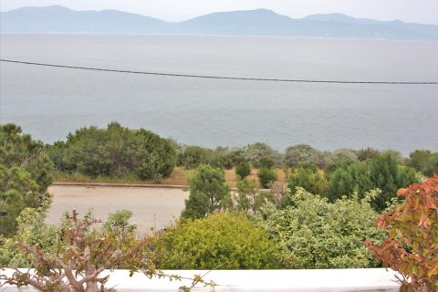 5 dormitorios Villa en Malesina, Greece No. 59678 21