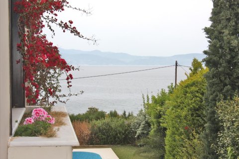 5 dormitorios Villa en Malesina, Greece No. 59678 2