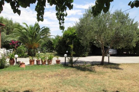 6 dormitorios House en Chalkidiki, Greece No. 59518 3