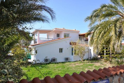 Studio Villa in Paphos, Cyprus No. 50106 5