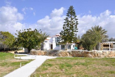 Studio Villa in Paphos, Cyprus No. 50106 3