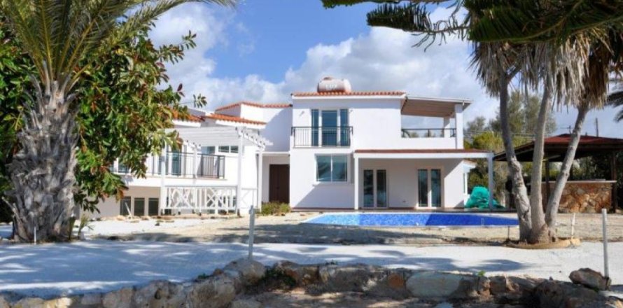 Studio Villa in Paphos, Cyprus No. 50106