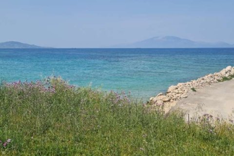 Land in Zakynthos, Greece No. 24685 2