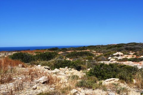 40000m² Land en Rethymno, Greece No. 59179 2