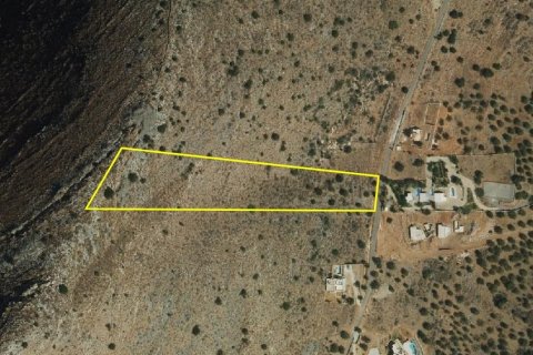 12000m² Land in Agios Nikolaos, Greece No. 59178 6