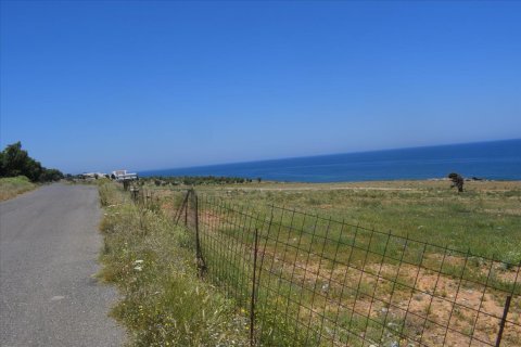 11600m² Land à Rethymno, Greece No. 58597 4