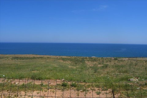 11600m² Land à Rethymno, Greece No. 58597 5