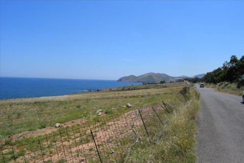 11600m² Land en Rethymno, Greece No. 58597 1