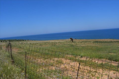 11600m² Land in Rethymno, Greece No. 58597 3