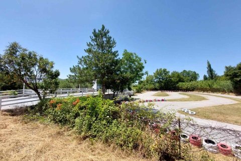 7000m² Land en Chalkidiki, Greece No. 58598 8