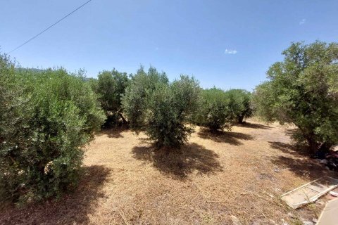 7000m² Land in Chalkidiki, Greece No. 58598 10