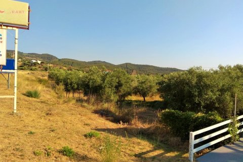 7000m² Land en Chalkidiki, Greece No. 58598 5