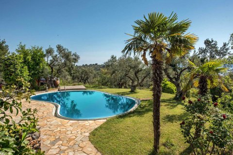 440m² Villa in Argalasti, Greece No. 58594 22