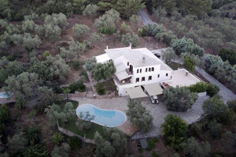 440m² Villa en Argalasti, Greece No. 58594 25