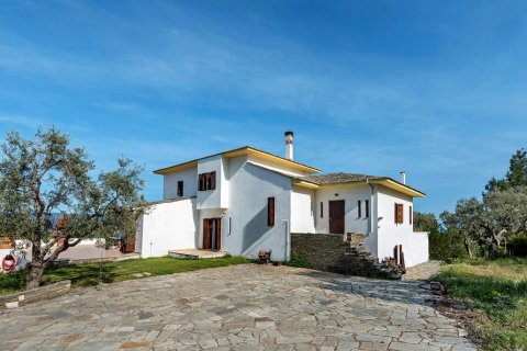 440m² Villa à Argalasti, Greece No. 58594 15