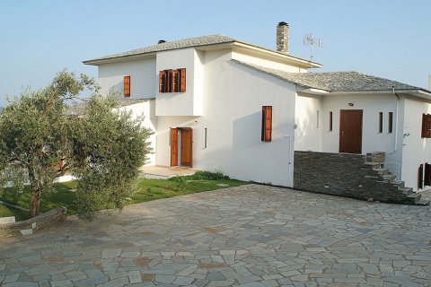 440m² Villa en Argalasti, Greece No. 58594 2