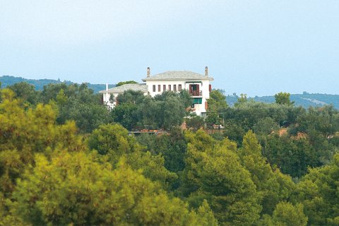 440m² Villa in Argalasti, Greece No. 58594 14