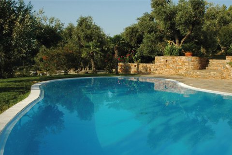 440m² Villa en Argalasti, Greece No. 58594 4