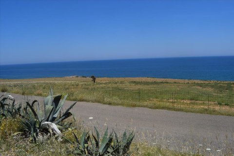 27860m² Land à Rethymno, Greece No. 58596 6