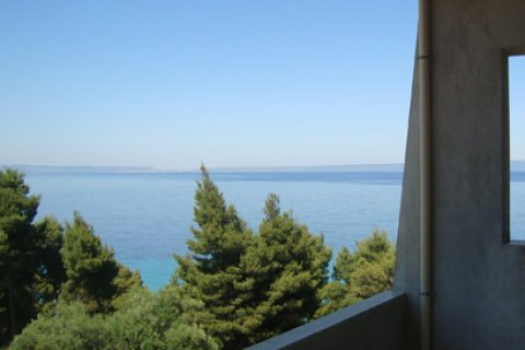 3000m² Negocio en Chalkidiki, Greece No. 60678 11