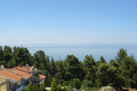 3000m² Business in Chalkidiki, Greece No. 60678 12