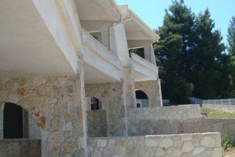 3000m² Business in Chalkidiki, Greece No. 60678 15