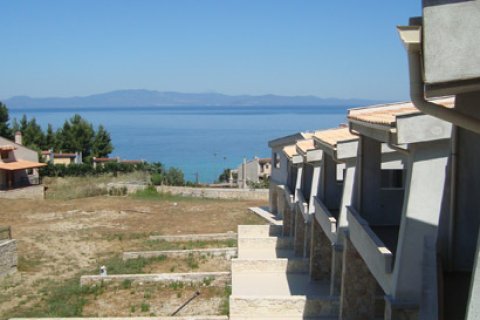 3000m² Business in Chalkidiki, Greece No. 60678 23