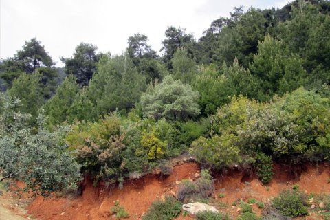 9200m² Land à Thasos, Greece No. 60455 5