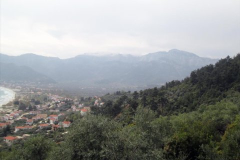 9200m² Land in Thasos, Greece No. 60455 6