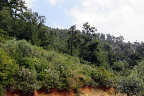 9200m² Land en Thasos, Greece No. 60455 4