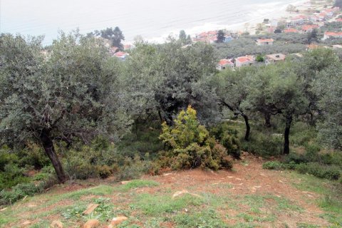 9200m² Land à Thasos, Greece No. 60455 2