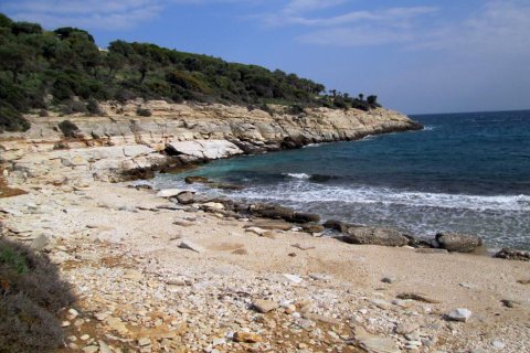 11250m² Land in Thasos, Greece No. 60454 8