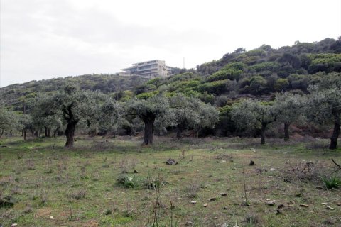 11250m² Land à Thasos, Greece No. 60454 5