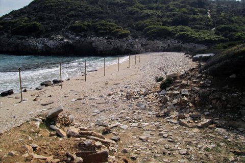 11250m² Land in Thasos, Greece No. 60454 6