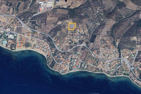 8245m² Land à Polygyros, Greece No. 54185 6