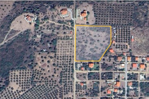 8245m² Land in Polygyros, Greece No. 54185 1