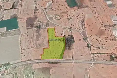 25420m² Land in Mazotos, Cyprus No. 35452 1