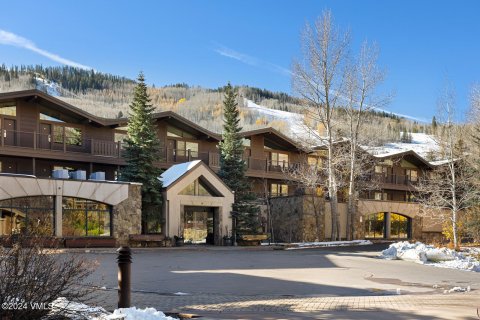 1 dormitorio Condominio  en Vail, USA No. 69418 21